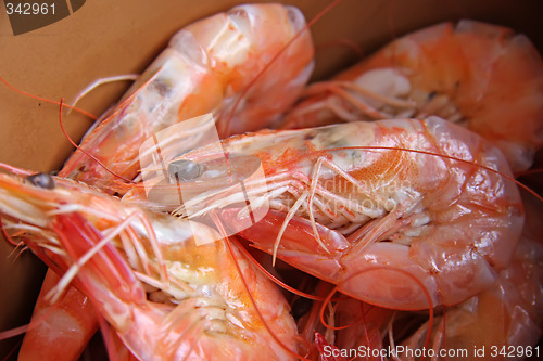 Image of Whole cooked prawns