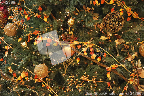 Image of Orange christmas