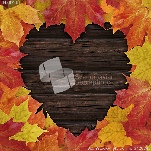 Image of Autumn Love 