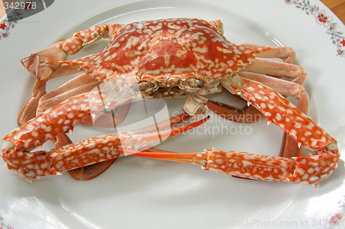 Image of Cooked crab