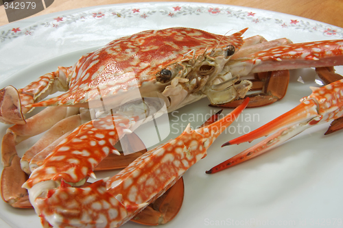 Image of Cooked crab