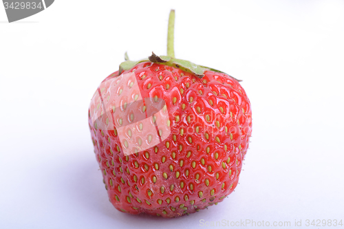 Image of Red Ripe delicious Organic Strawberry, Close up, Macro