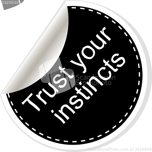 Image of Trust your instincts. Inspirational motivational quote. Simple trendy design. Black and white stickers.