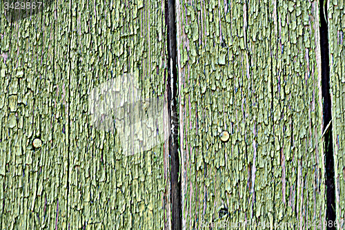 Image of old green colored wooden plank surface