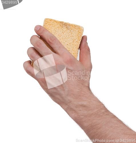 Image of Yellow Sponge with white background