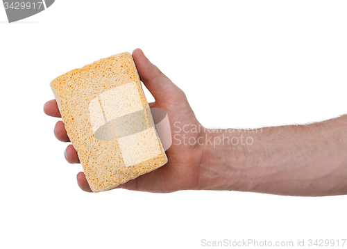Image of Yellow Sponge with white background