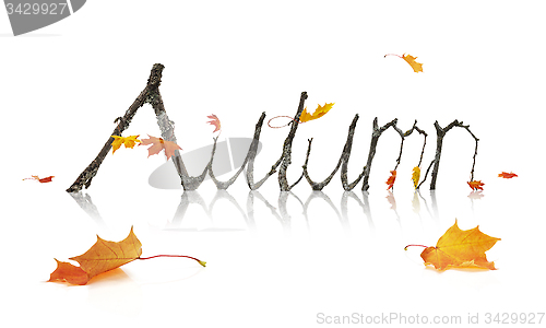 Image of Autumn Word Made from Maple Branches