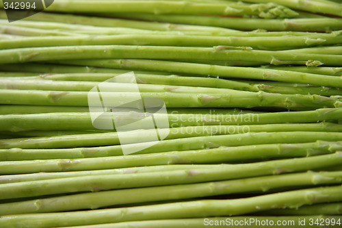 Image of Fresh asparagus