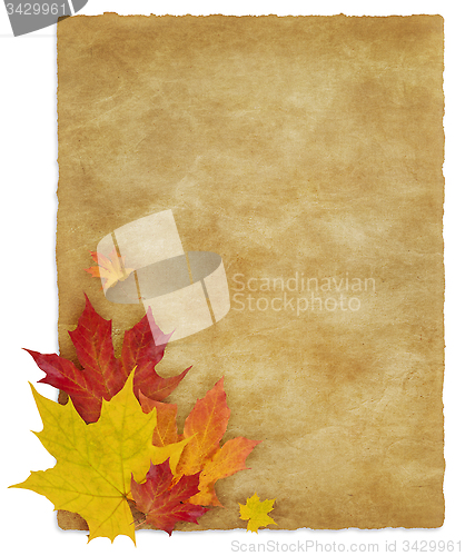 Image of Autumn_Letter