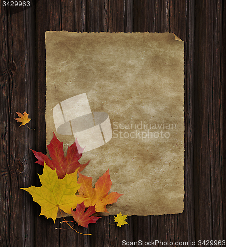 Image of Autumn_Announcement