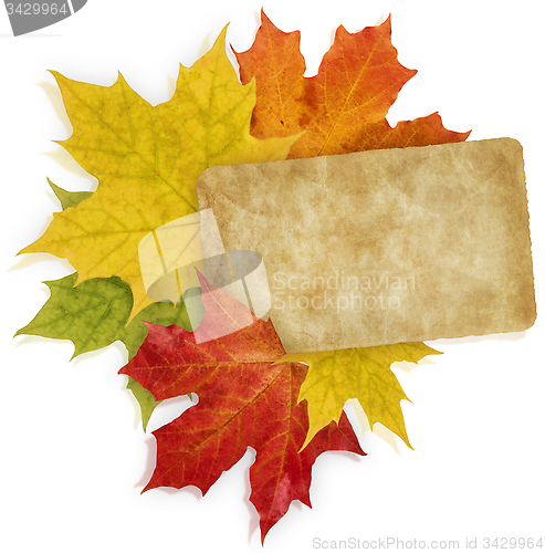 Image of Autumn_Message