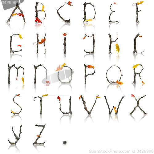 Image of Autumn Alphabet