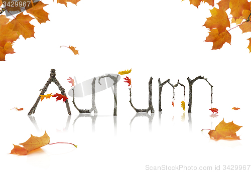 Image of Autumn Announcement