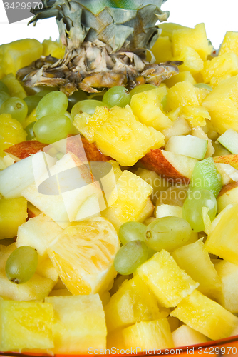 Image of Salad on plate