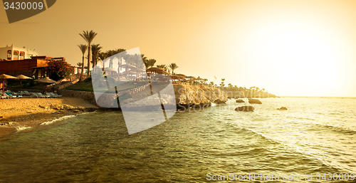 Image of Coast of red sea