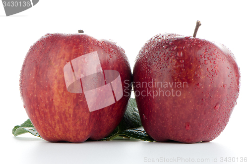 Image of Ripe red apples