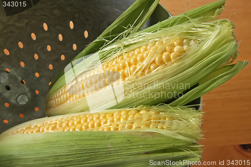 Image of Fresh ears of corn