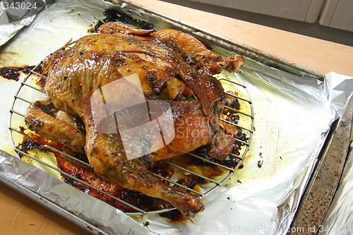Image of Whole roast chicken
