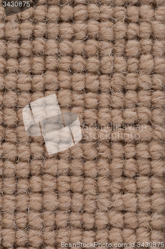 Image of Brown carpet