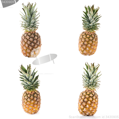 Image of Pineapples