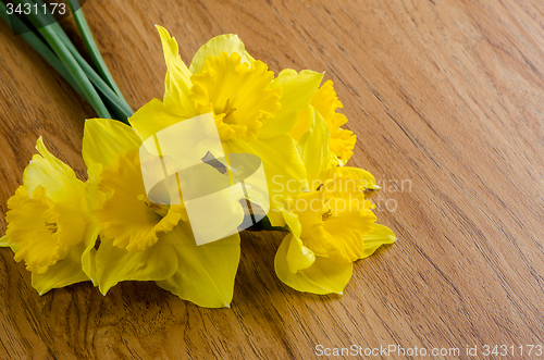 Image of Jonquil flowers