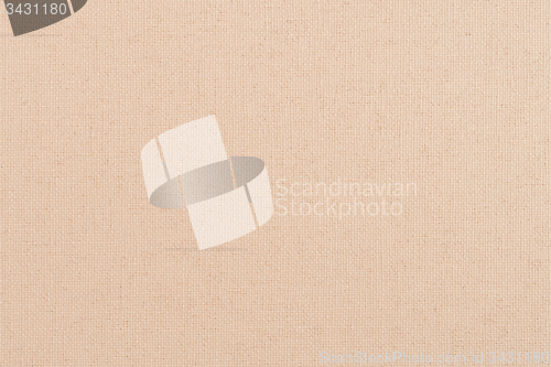 Image of Orange vinyl texture