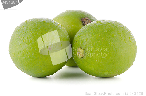 Image of Fresh green limes