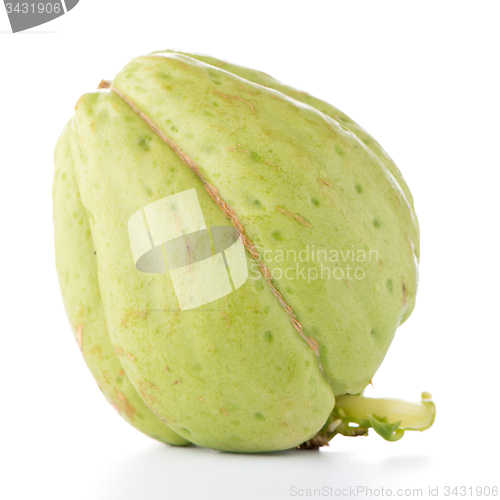 Image of Chayote