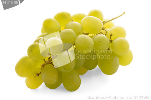 Image of Green grapes