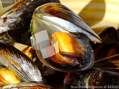 Image of Cooked mussels