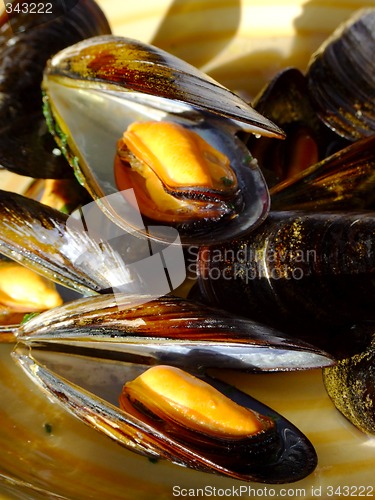 Image of Cooked mussels