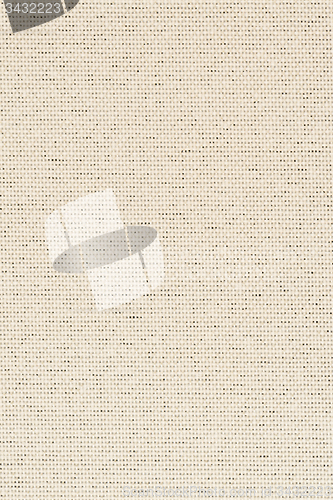 Image of Beige vinyl texture