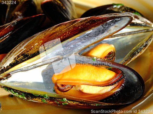 Image of Cooked mussels