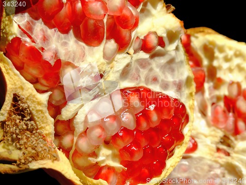 Image of Pomegranate fruit