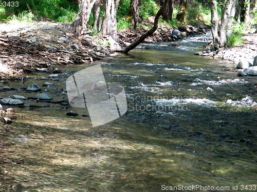 Image of The river. Cyprus