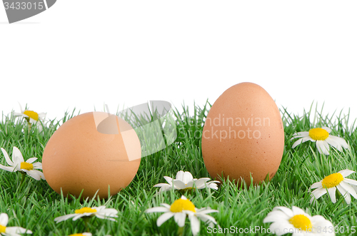 Image of Two eggs with artificial grass