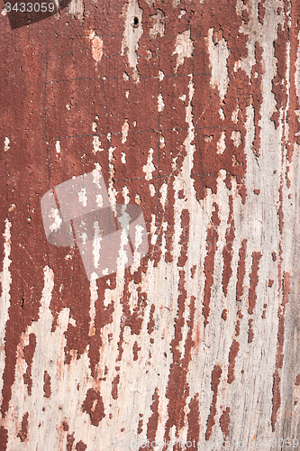 Image of Wood old wall background