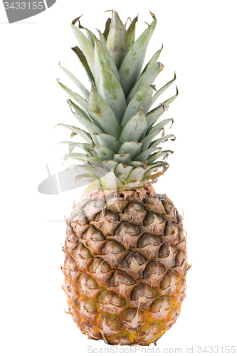 Image of Pineapple