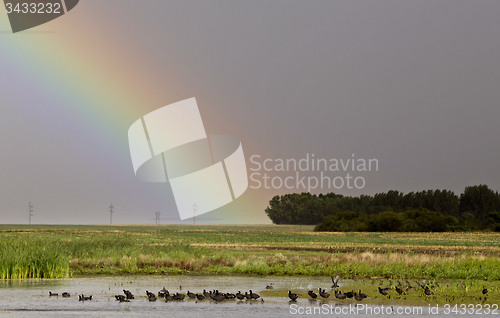 Image of Storm Clouds Saskatchewan Rainbow