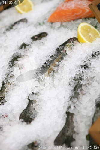 Image of Fresh Fish on Ice