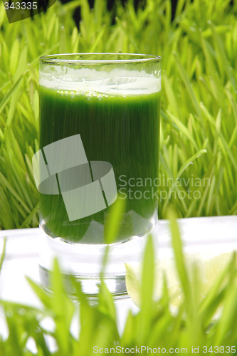 Image of Fresh Juice from sprout of the wheat