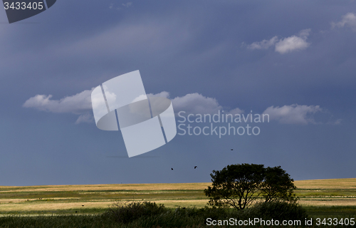 Image of Storm Clouds Prairie Sky