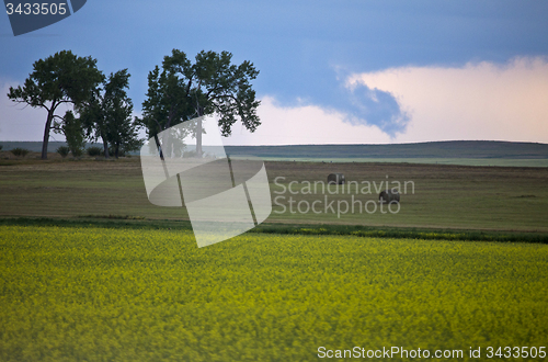 Image of Storm Clouds Prairie Sky