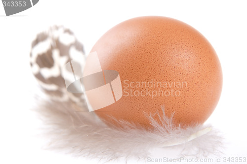 Image of Egg and Feather