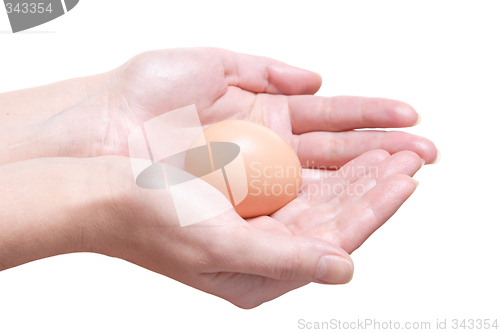 Image of Egg in Hands