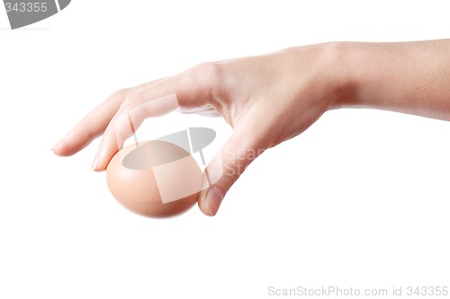 Image of Egg in Hand