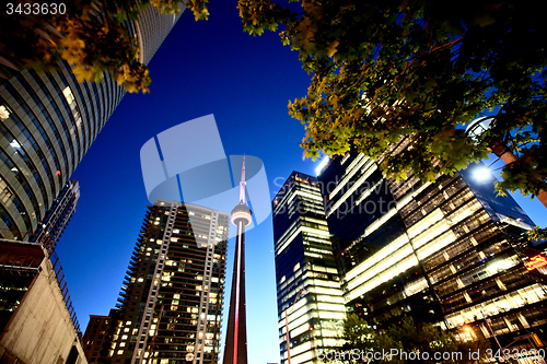 Image of Night Photo Toronto City