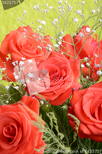 Image of bouquet of blossoming dark red roses in vase, close up flower