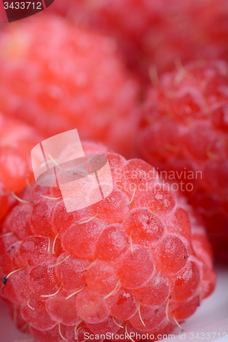 Image of Fresh sweet raspberries close up.