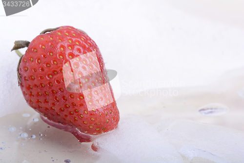 Image of Close up strawberry, food concept